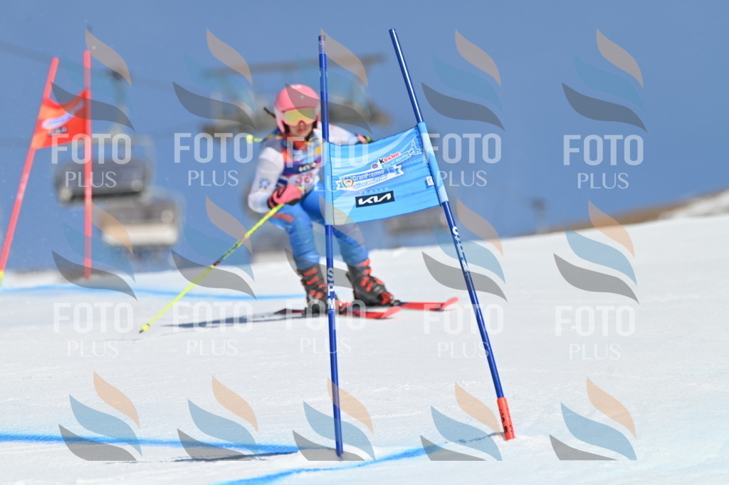 BGV_8305 | holidayphoto