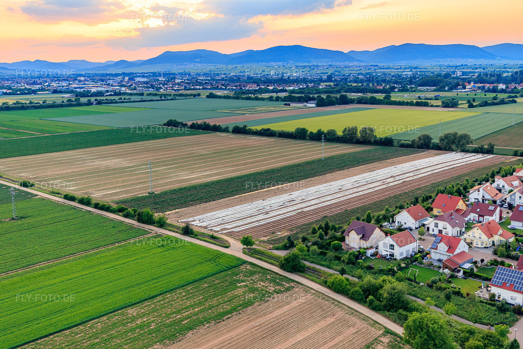 Luftbild: Unteres Rappenfeld im Ortsteil Mörlheim in Landau im Bundesland Rheinland-Pfalz in Deutschland. Foto: IMG_100599.jpg vom 01.06.2017 durch Werner Riehm/FLY-FOTO.de