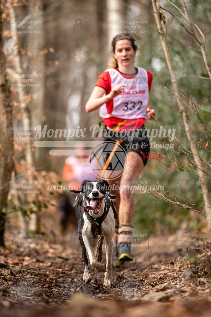 SPA_2023_DIM_CCK-133 | PayLife