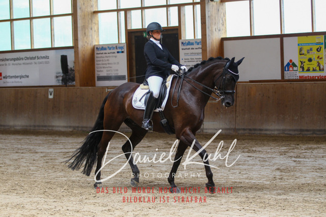 DKP45582 | Turniersportfotografie; Pferdefotografie; Dressurfotografie