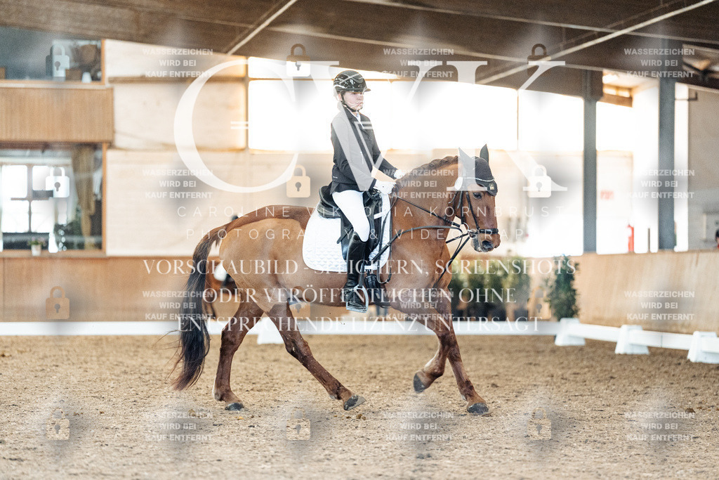 CK907782 | Turnierfotografie Pferdefotografie Trier Rheinland-Pfalz Pferdesport Reitsport Tierfotografie Sportfotografie Pferdevideo Pferdevideografie Equestrianvideography equestrianphotography  - Realisiert mit Pictrs.com