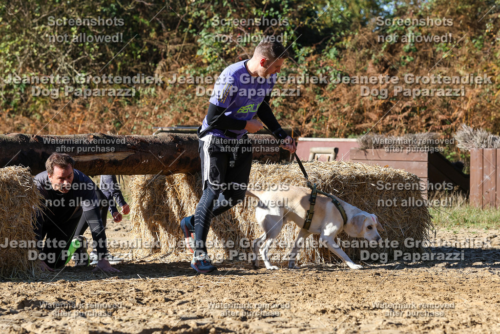 Dog Paparazzi - Strongdog 10-25-2184 | Dog Paparazzi Jeanette Grottendiek Fotografie & Videografie - Realisiert mit Pictrs.com