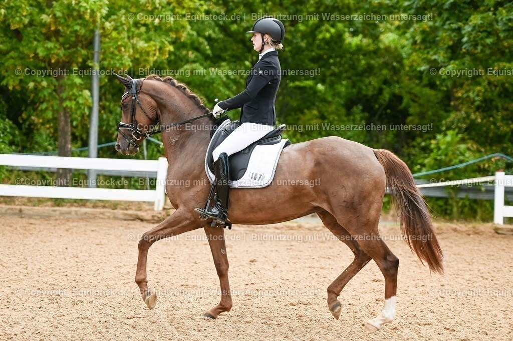 20230715_07_Dressurpferdeprfg. Kl.L_0049 | equistock