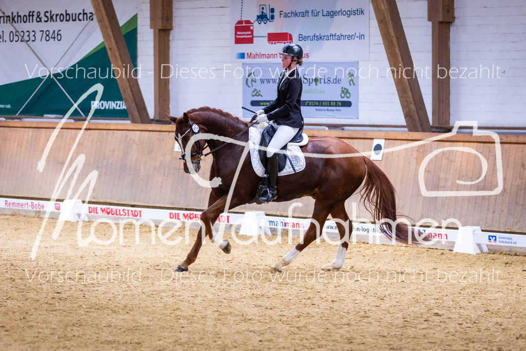 Sth-A-Dre-2St-162 | MomenTaufnahmen Pferdesportfotos