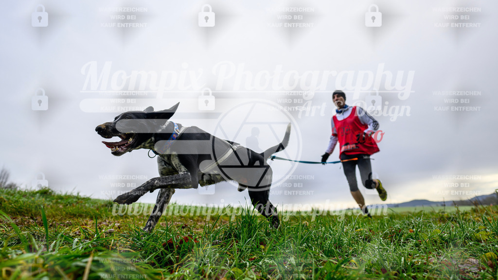 MompixPhotography_Staufertrail2024_SO_Canicross-20 | PayLife