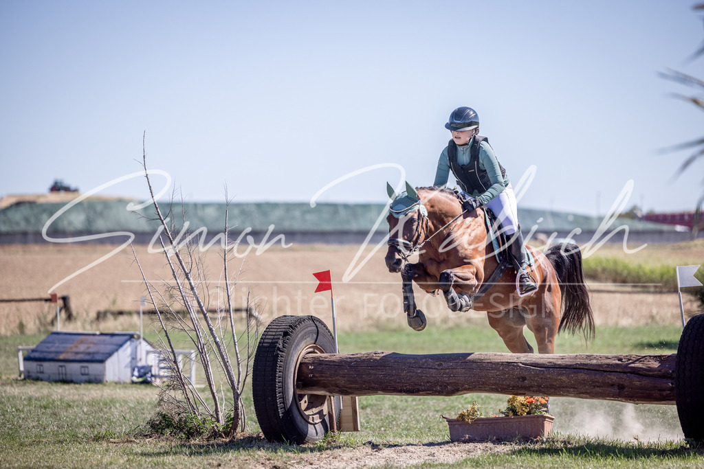 20260906-_3LI3357 | Tierfotografie Pferde, Hunde, Katzen, Haustiere.
Turnierfotografie Reitturniere, Reiten, Springreiten, Dressur in Hanau, dem Main-Kinzig-Kreis und dem Rhein-Main- Gebiet um Frankfurt