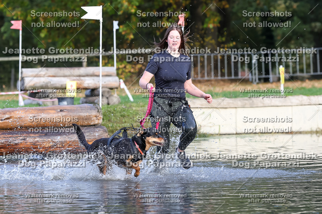 Dog Paparazzi - Strongdog 10-25-8246 | Dog Paparazzi Jeanette Grottendiek Fotografie & Videografie - Realisiert mit Pictrs.com