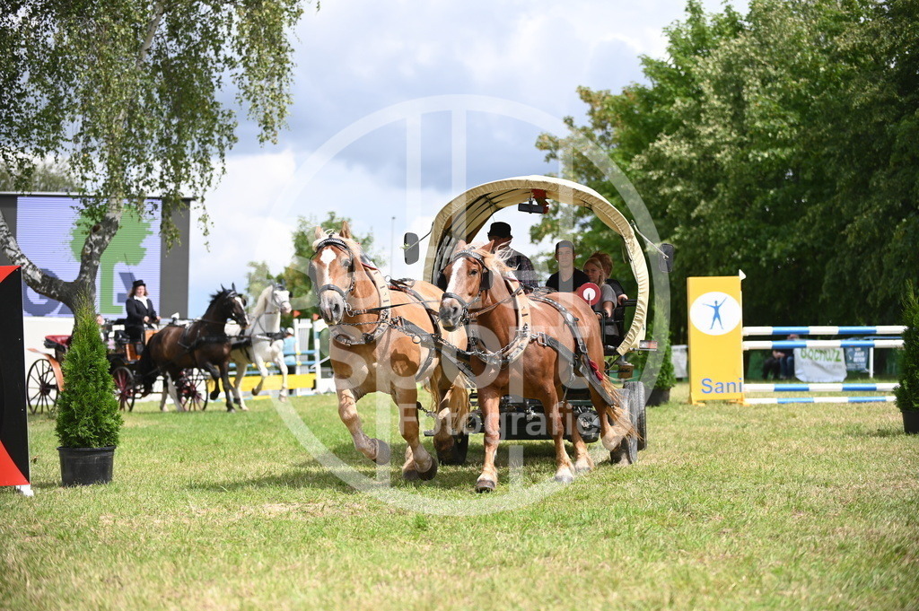 DSC_6923 | sattelsport - Realisiert mit Pictrs.com