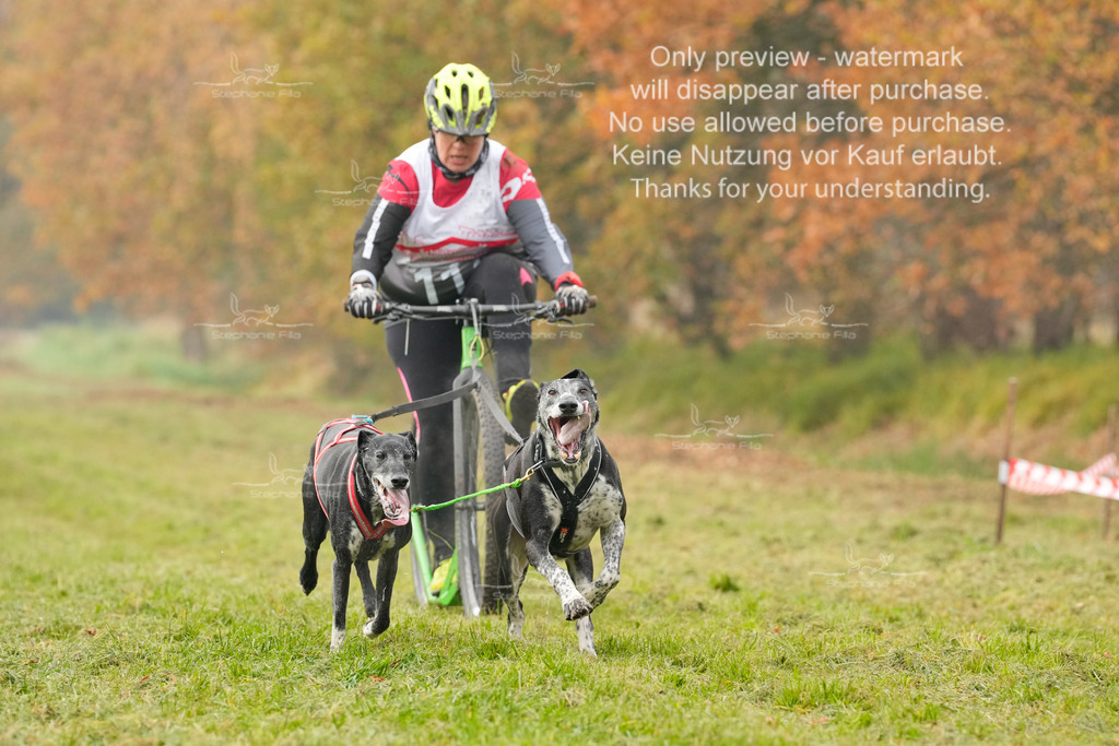 Visbeck_Sa_DS2DR2-95 | stephaniefillaphotographie - Realisiert mit Pictrs.com