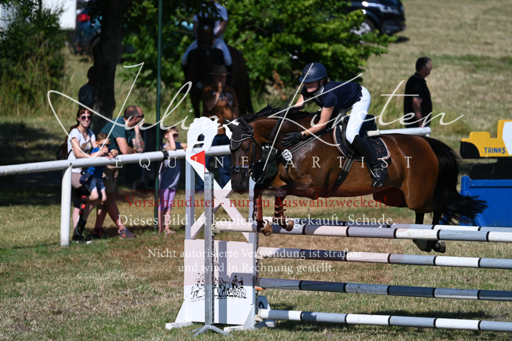 DSC_2138 | Pferde- und Turnierfotografie in Westsachsen. Pferdeportraits, Auftragszeichnungen und intuitive Kunst.