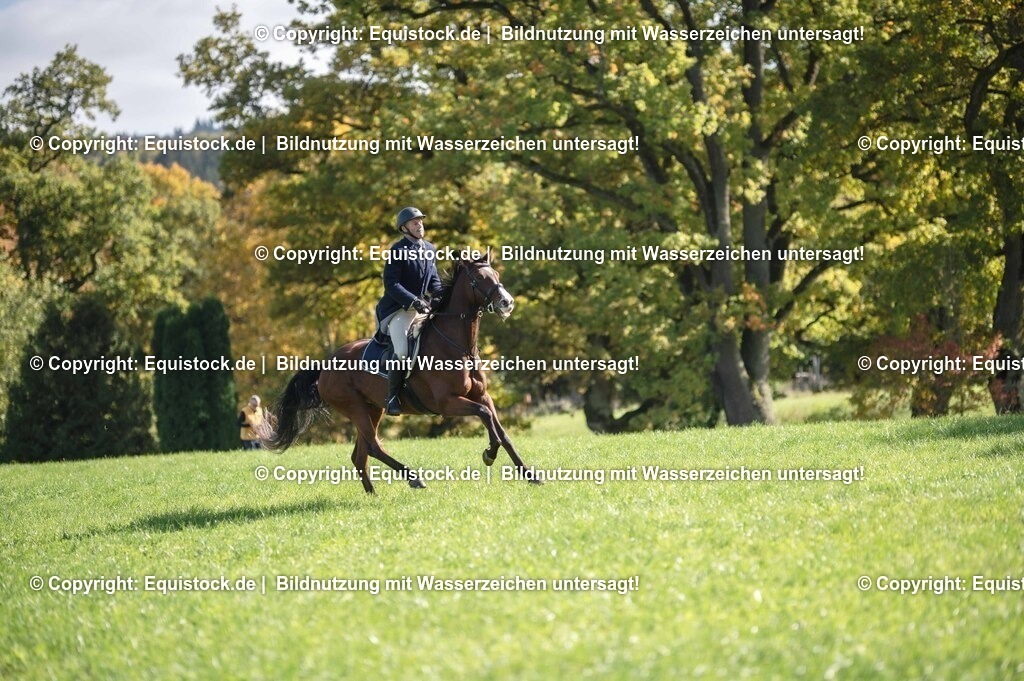 20251011_Jagd-Marbach_0413 | Foto: Thomas Hartig