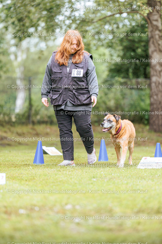 RO-Blumenthal-2026-Nickbest-Hundefotografie-4249 | Dein Hund! Dein Moment! Deine Erinnerungen! Hundefotografie in Bremen Blumenthal. Ich fange die besonderen Momente deines Vierbeiners ein – ob Indoor mit Blitzanlage oder in der freien Natur. Sicher dir dein Moment und dein Termin für eure Erinnerungen.