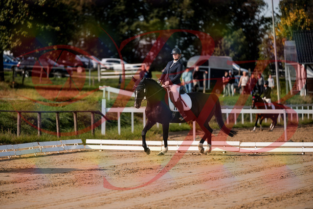 2026_10_03_Siefer-Hof_113249_Z63_19204176 | Professionelle Reitsport-, Turnier- und Eventfotografie von Robert Broda. Galerien mit ausgewählten und bearbeiteten Bildern direkt online ansehen und bestellen.