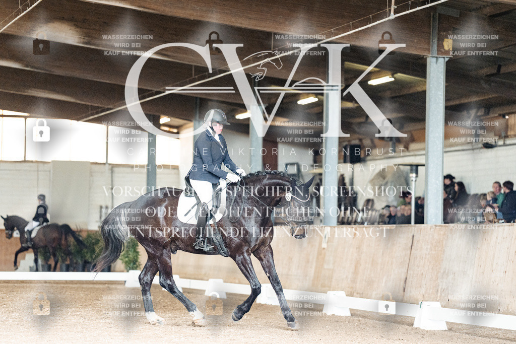 CK902284 | Turnierfotografie Pferdefotografie Trier Rheinland-Pfalz Pferdesport Reitsport Tierfotografie Sportfotografie Pferdevideo Pferdevideografie Equestrianvideography equestrianphotography  - Realisiert mit Pictrs.com