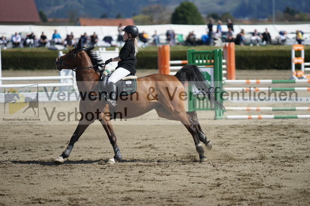DSC03153 | equestrian-live-com