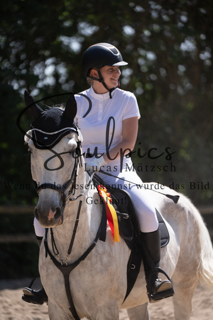 A7V08594 | Pferdefotograf