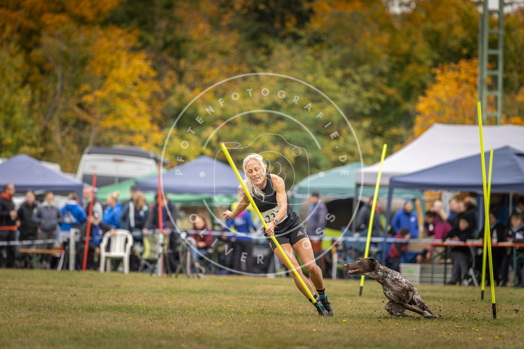 Pfotenfotografie_DV3A4188 | Hundefotografie, Tierfotograf, Pfotenfotografie, Fotoshooting Hund, Hunde Portrait, Hundesport, Hundeportraits, Heideshooting, Hunde, Sportfotograf, Hundefotograf, Turnierhundsport, THS,  - Realisiert mit Pictrs.com