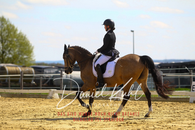 DKP43201 | Turniersportfotografie; Pferdefotografie; Dressurfotografie