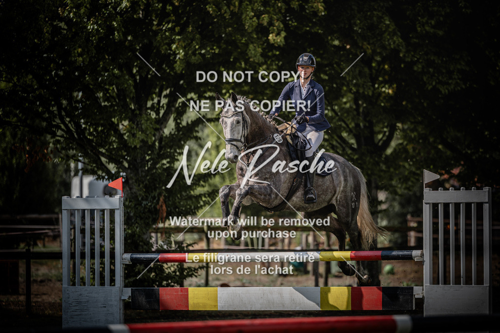 nelerasche_SprL110Ede_86 | nelerasche
