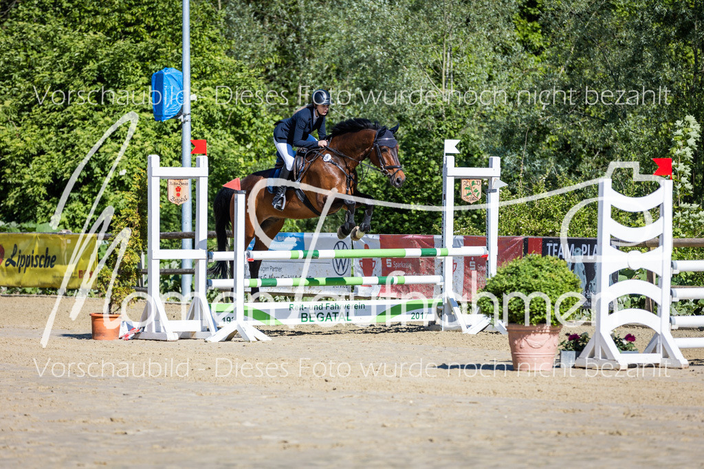 Donop24-A2Spr-015 | MomenTaufnahmen Pferdesportfotos