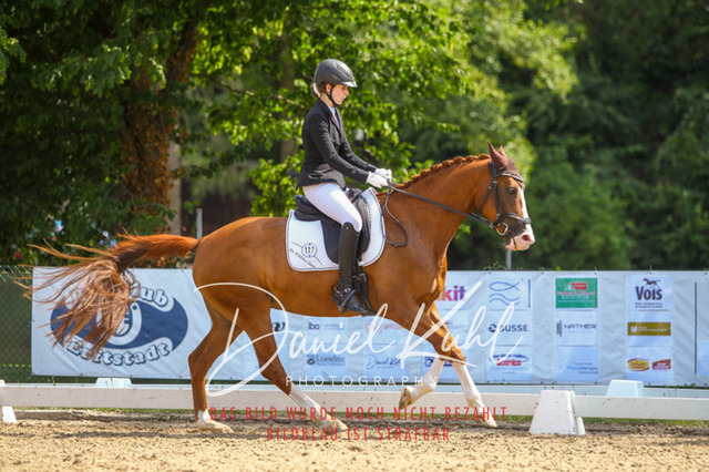 DKP42683 | Turniersportfotografie; Pferdefotografie; Dressurfotografie