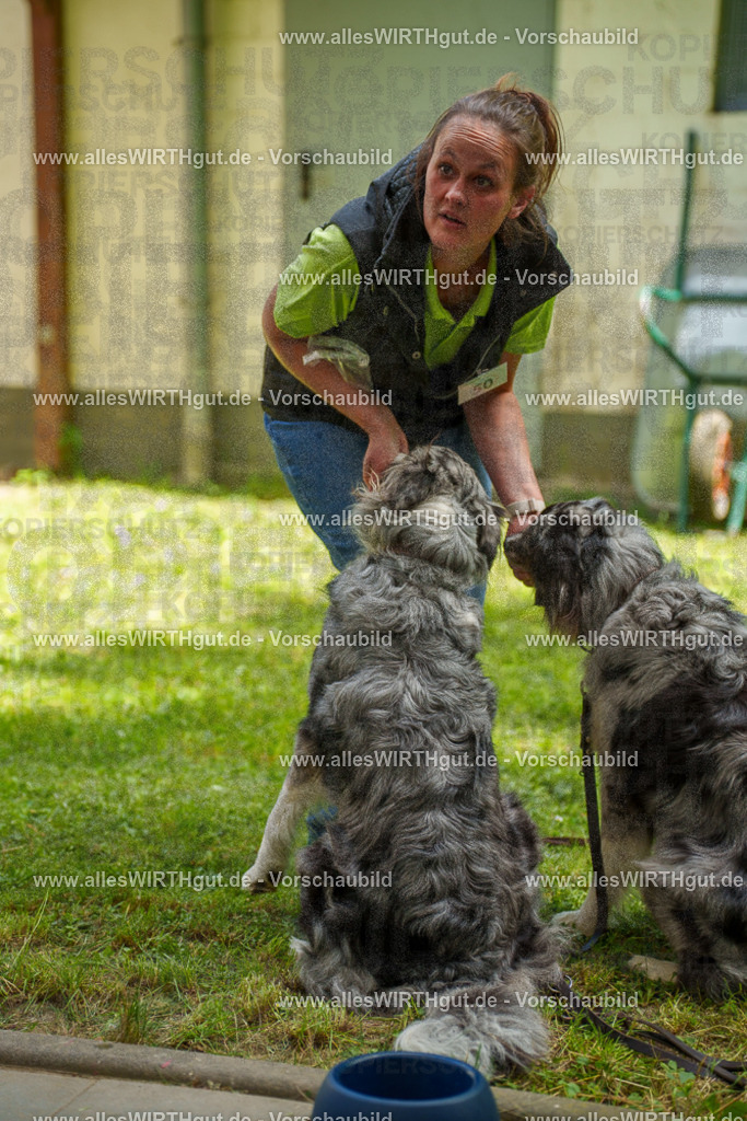 @allesWIRTHgut_Tierfotografie - www.allesWIRTHgut.de - 7R505974 | Professionelle Tierfotografie in Mönchengladbach von Daniel Wirth (allesWIRTHgut). Liebevolle & natürliche Bilder von Hunden & Katzen für unvergessliche Erinnerungen.