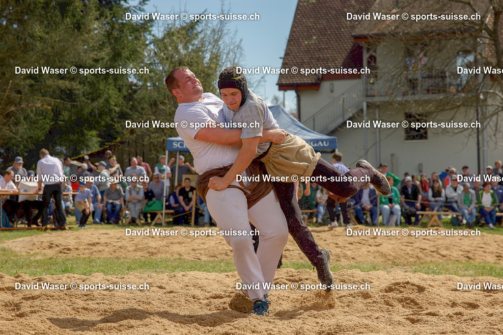 Kolb This __ - Burger David 06.04.2026 HEMISHOFEN_ SCHAFFHAUSER FRÜHLINGSSCHWINGFEST (2)-1 | Kolb This ** - Burger David 06.04.2026 HEMISHOFEN, SCHAFFHAUSER FRÜHLINGSSCHWINGFEST