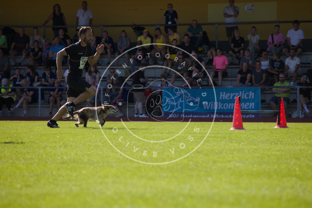 0L8A7971 | Hundefotografie, Tierfotograf, Pfotenfotografie, Fotoshooting Hund, Hunde Portrait, Hundesport, Hundeportraits, Heideshooting, Hunde, Sportfotograf, Hundefotograf, Turnierhundsport, THS,  - Realisiert mit Pictrs.com