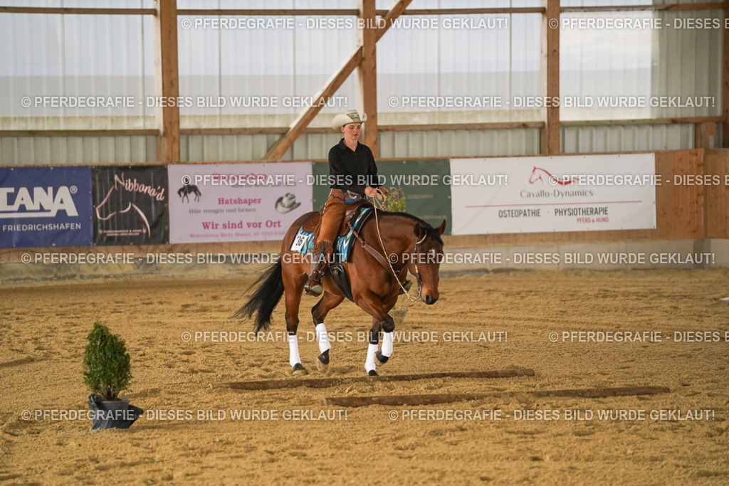 DSC04473 | Pferdegrafie