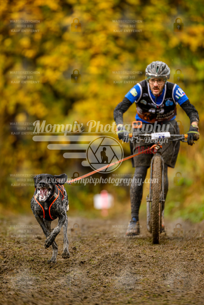 MompixPhotography_ICF_WC_2024_SA_DS_-94 | PayLife
