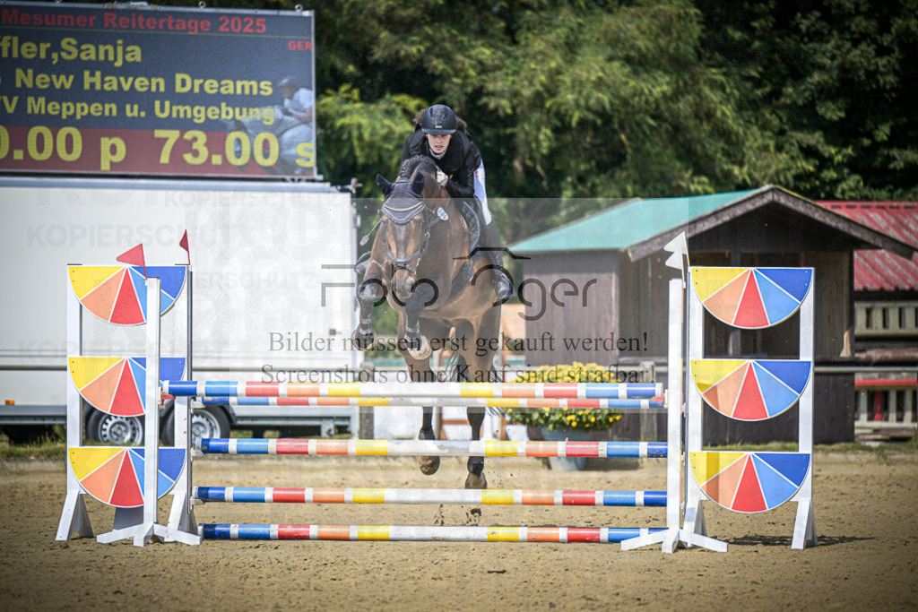 DOS_6162 | Entdecke hochwertige Reitturnierfotos von Foto Oger. Professionell, emotional und authentisch – jetzt Lieblingsmomente im Shop bestellen.Deutschlandweite Turnierfotografie. - Realisiert mit Pictrs.com