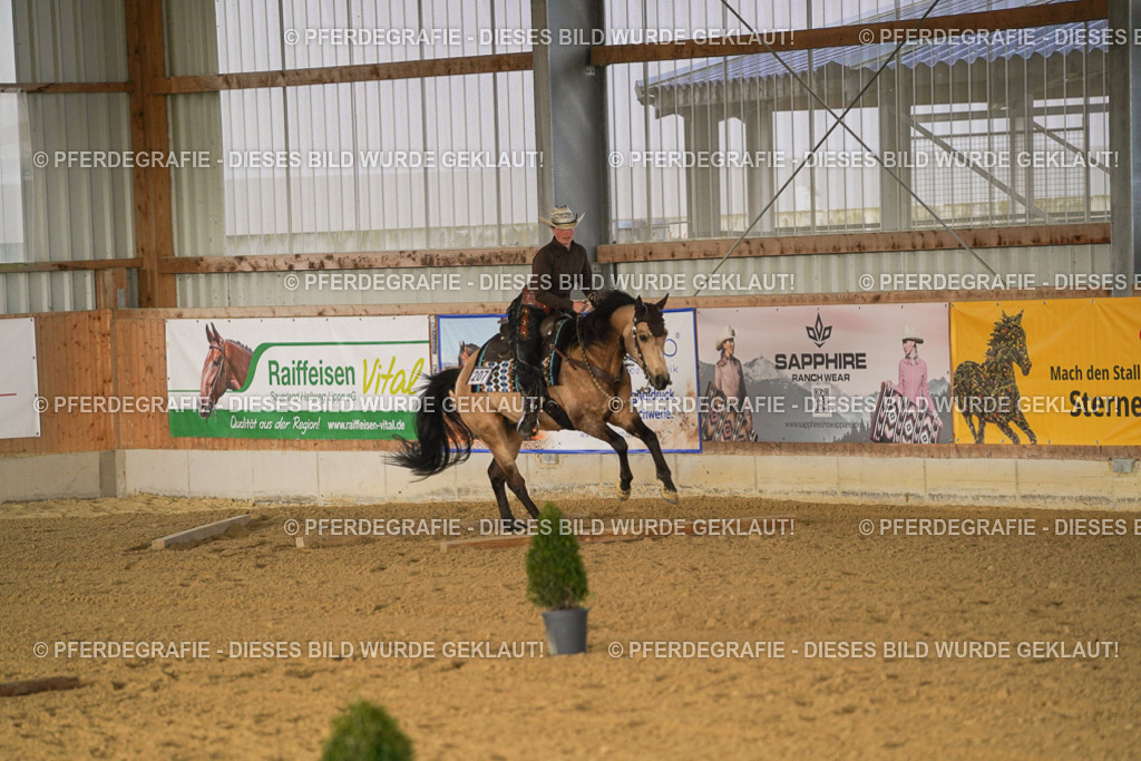 DSC01768 | Pferdegrafie