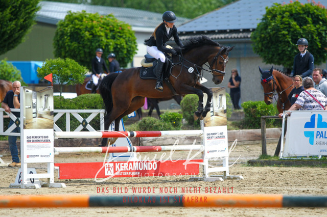 DKP41434 | Turniersportfotografie; Pferdefotografie; Dressurfotografie