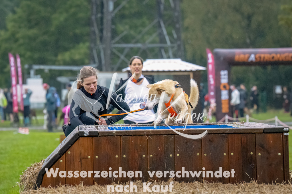 1021--8 | kk-dogfotos