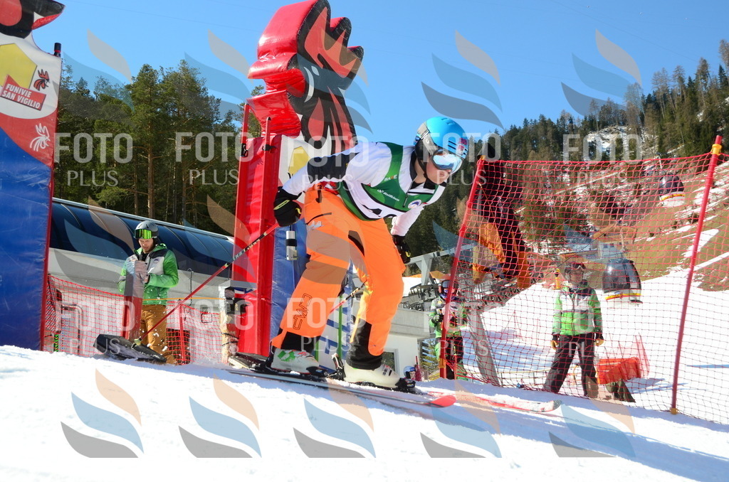 C7012 | holidayphoto