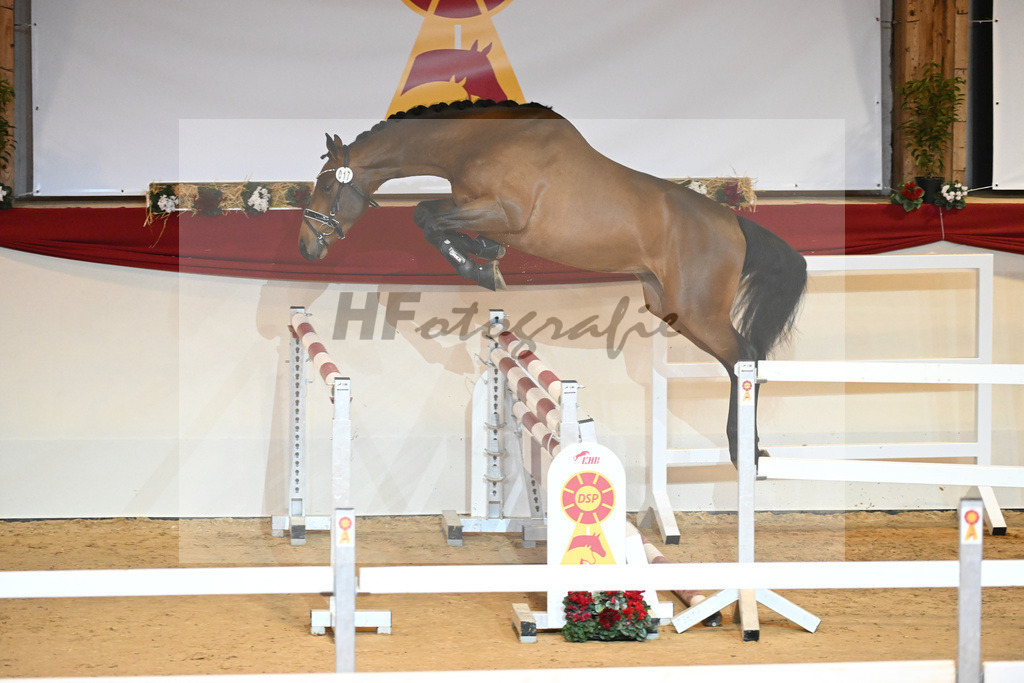 Kat-Nr. 17 Cullinan du Borget_Keitel u Tischer_1230863 | hf-fotografie - Realizzato con Pictrs.com