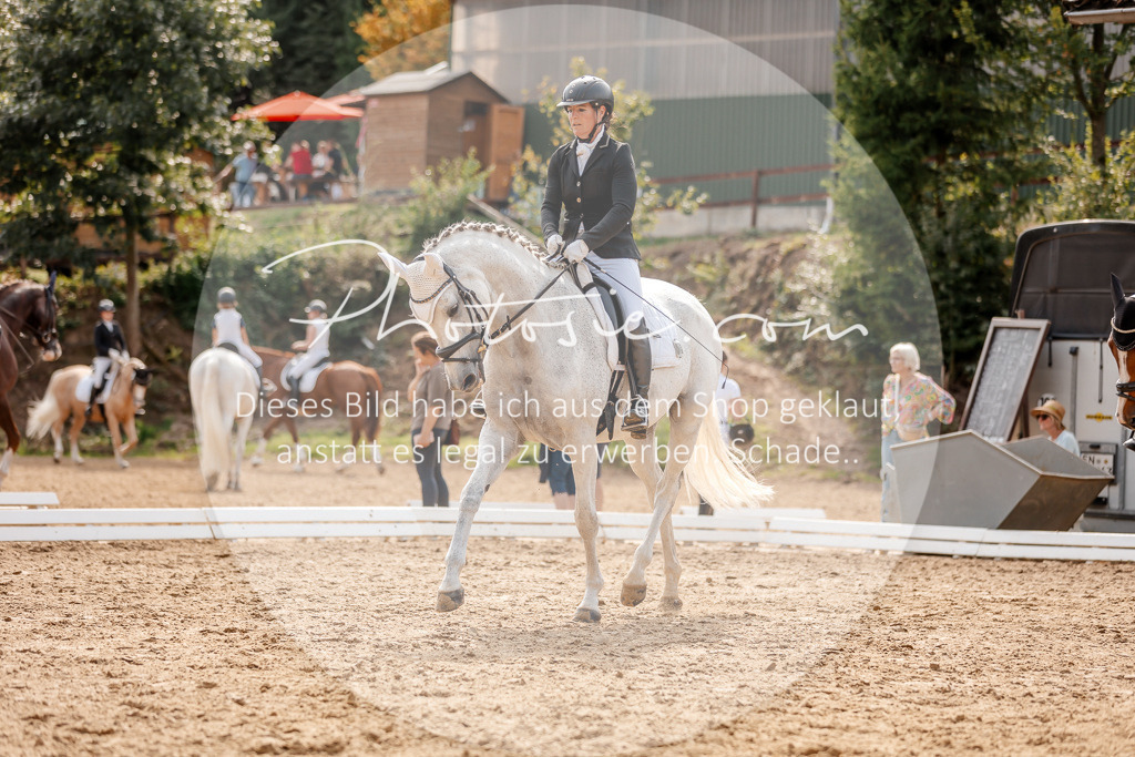 3I6A4256 | Stimmungsvolle Portraits und Reitsportfotografie im Ruhrgebiet und im Münsterland.

Pferdefotografie, Hundefotografie, Tierfotografie, Reportagen, Portraits von Tier und Mensch, Turnierfotografie in Bochum, Recklinghausen, Marl, Haltern am See, Dülmen.. - Realized with Pictrs.com