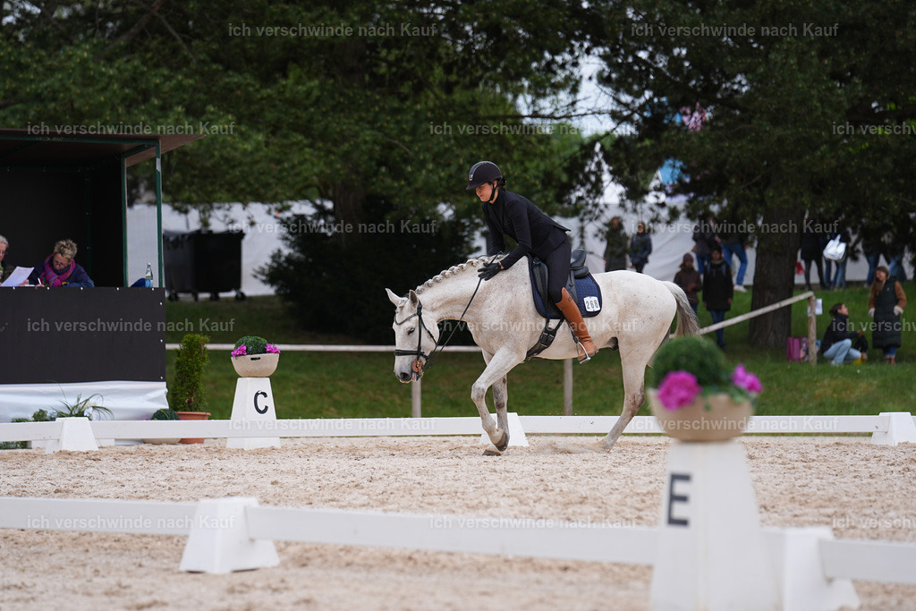 PI26_DR_267_StoibphotographySIN09940.jpg | working equitationturnier fotograf videograf stoibphotography marixx film working equitation deutschland reitsport turnierfotografie eventfotografie equestrian events