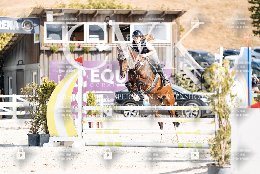 CK909286 | Turnierfotografie Pferdefotografie Trier Rheinland-Pfalz Pferdesport Reitsport Tierfotografie Sportfotografie Pferdevideo Pferdevideografie Equestrianvideography equestrianphotography  - Realisiert mit Pictrs.com
