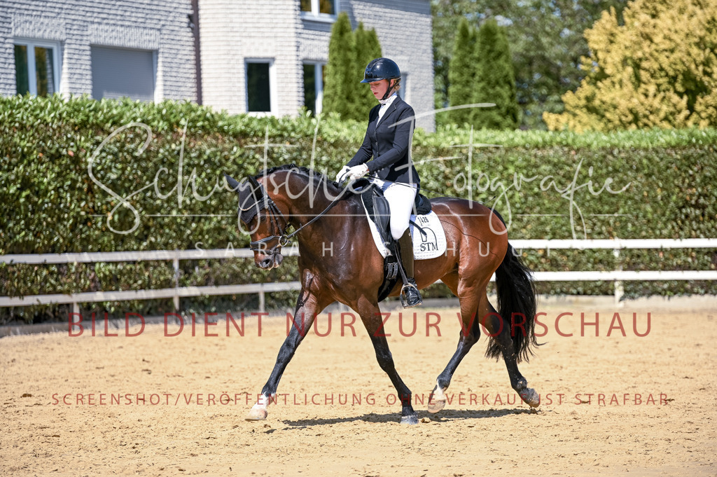 Schugtsche-Aluta25-49.Dressurpferdeprf.A-354 | Schugtsche Fotografie - Realisiert mit Pictrs.com