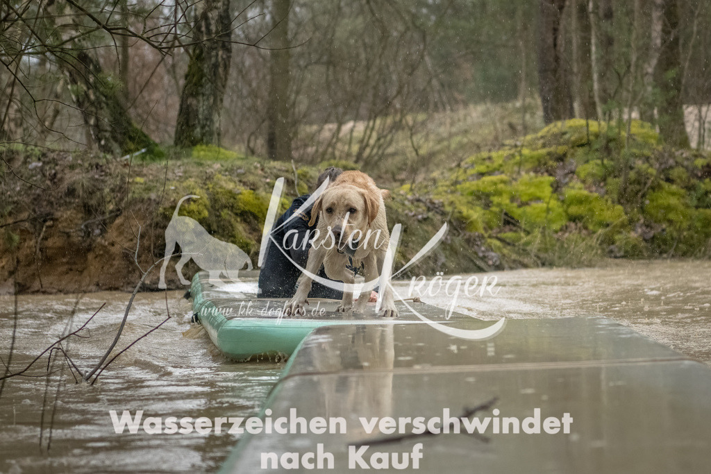 1049_ZZ93528-Bearbeitet | kk-dogfotos