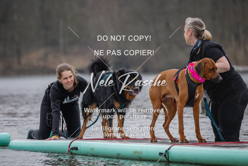 nelerasche_Hulsbeek_Sa1430-1515_159 | nelerasche