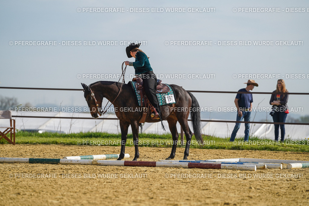 DSC01004 | Pferdegrafie