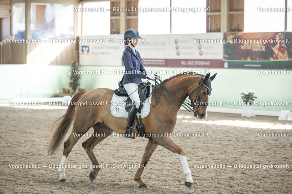 _D5A2649 | Emotionale Pferde- & People-Fotografie rund um Heidelberg, Leimen & Umgebung. Natürliche Fotos von Pferd, Mensch & Familie. Jetzt Termin sichern!