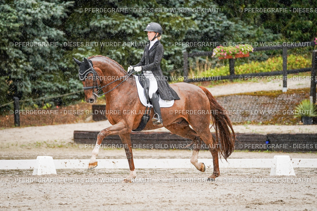 DSC09247 | Pferdegrafie