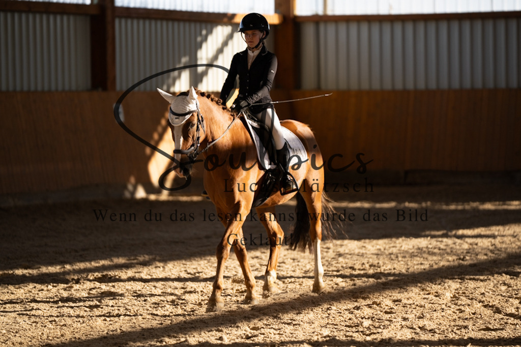 A7V01698 | Turnier/Reitfotograf