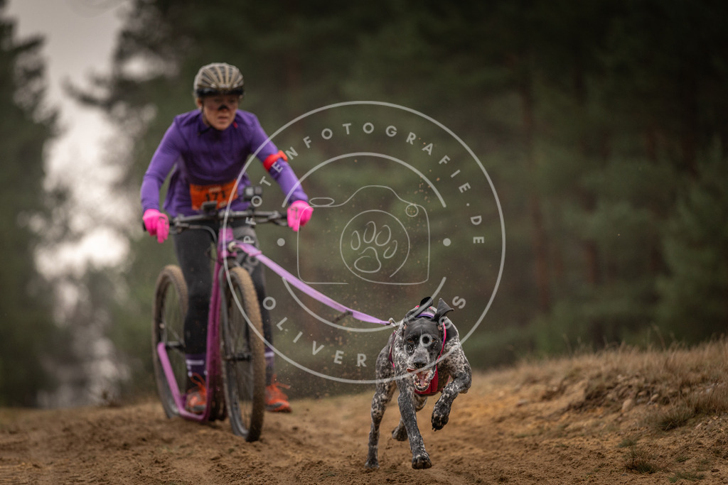 Pfotenfotografie_DV3A4519 | Hundefotografie, Tierfotograf, Pfotenfotografie, Fotoshooting Hund, Hunde Portrait, Hundesport, Hundeportraits, Heideshooting, Hunde, Sportfotograf, Hundefotograf, Turnierhundsport, THS,  - Realisiert mit Pictrs.com