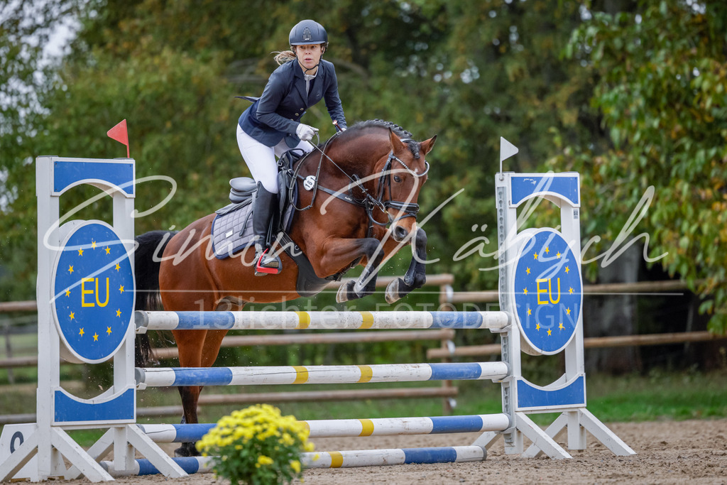 20251012-_3LI4670 | Tierfotografie Pferde, Hunde, Katzen, Haustiere.
Turnierfotografie Reitturniere, Reiten, Springreiten, Dressur in Hanau, dem Main-Kinzig-Kreis und dem Rhein-Main- Gebiet um Frankfurt