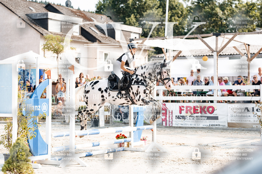 CK902807 | Turnierfotografie Pferdefotografie Trier Rheinland-Pfalz Pferdesport Reitsport Tierfotografie Sportfotografie Pferdevideo Pferdevideografie Equestrianvideography equestrianphotography  - Realisiert mit Pictrs.com