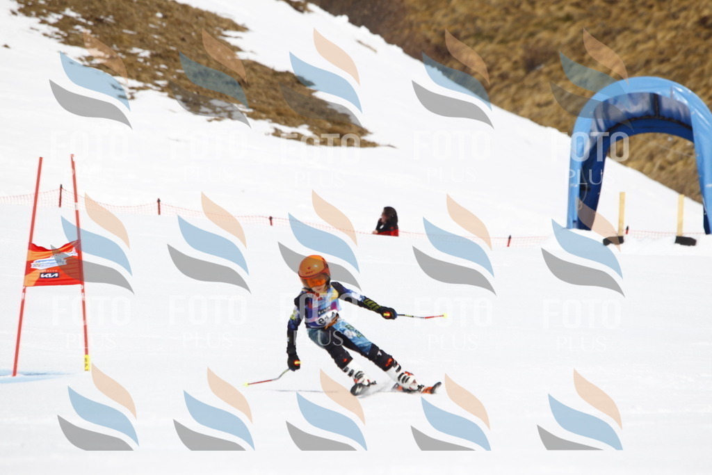 _U3G5512 | holidayphoto